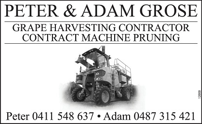 banner image for Peter & Adam Grose
