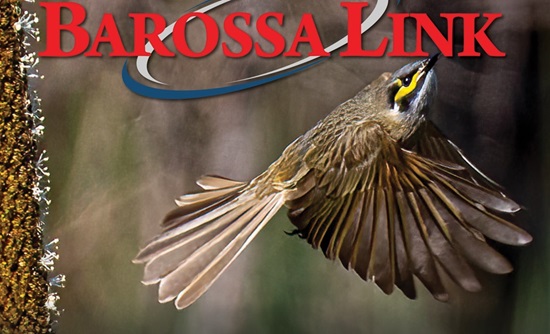 banner image for Barossa Link